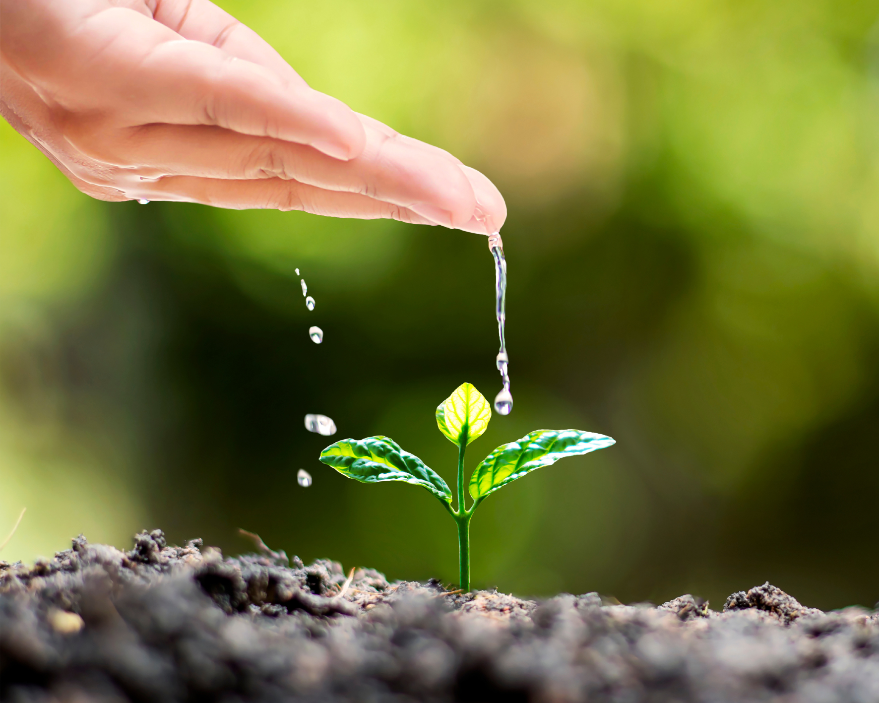 NP EN ISO 14001:2015 – Sistemas de Gestão Ambiental